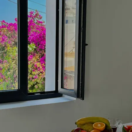 Deos Luxury House 아파트